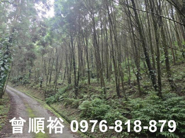 新竹北埔山坡地-5