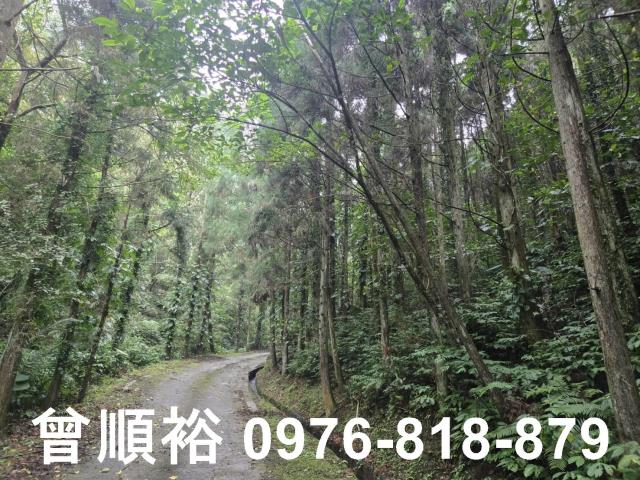 新竹北埔山坡地-7