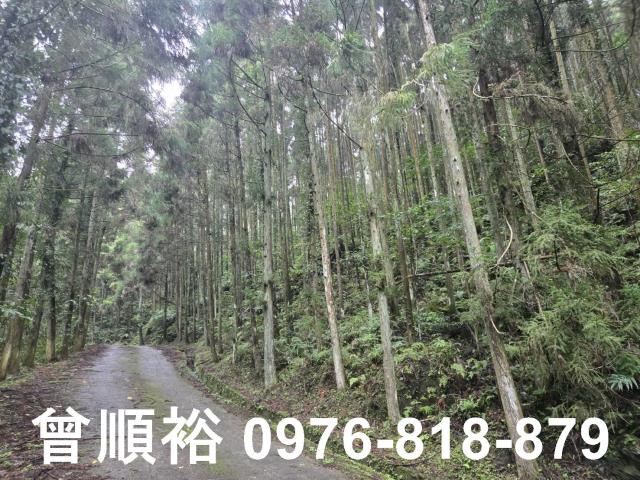 新竹北埔山坡地-8