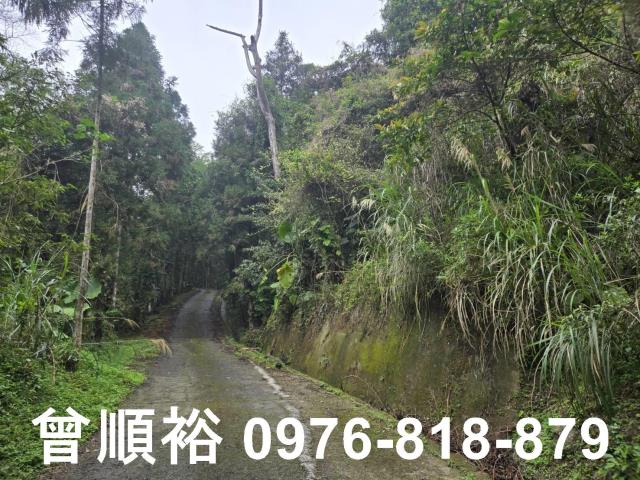 新竹北埔山坡地-9