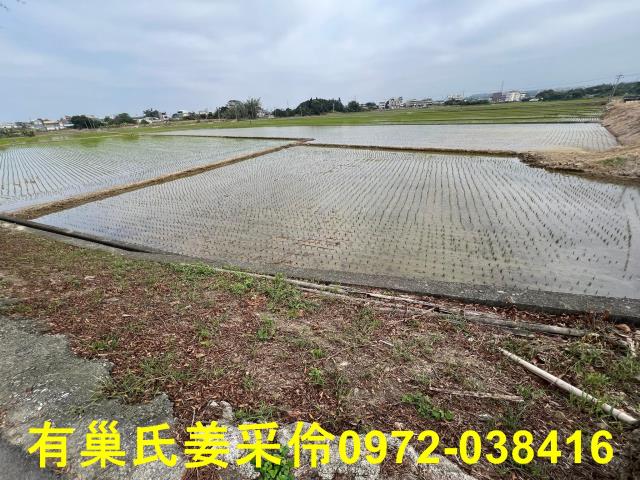 嘉義民雄農地-3