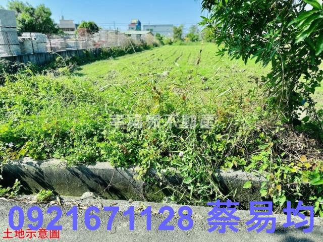 新化農地-6