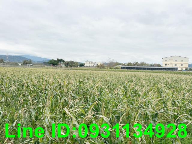 后里農地-1