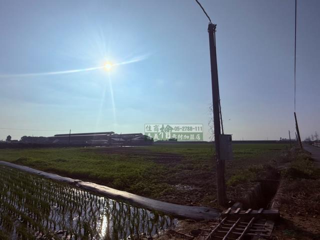 朴子農地-3