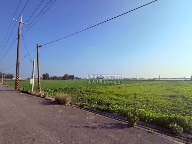 朴子農地-6