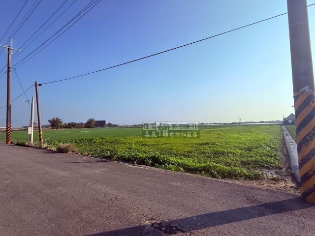 朴子農地-7