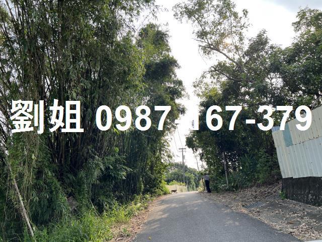 高雄農地-3