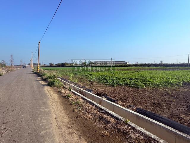 嘉義農地-10