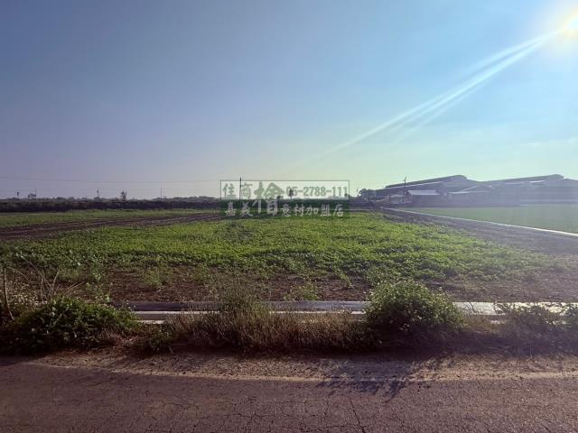 嘉義農地-6