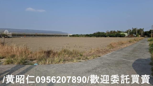 佳里農地-12
