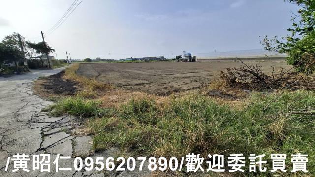 佳里農地-3