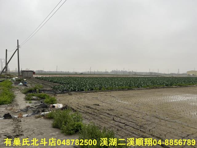 二林農地-2