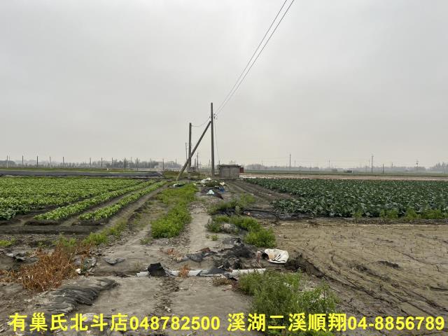 二林農地-3