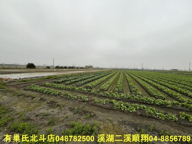 二林農地-4