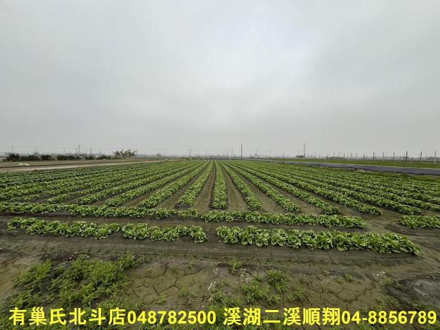 二林農地-5