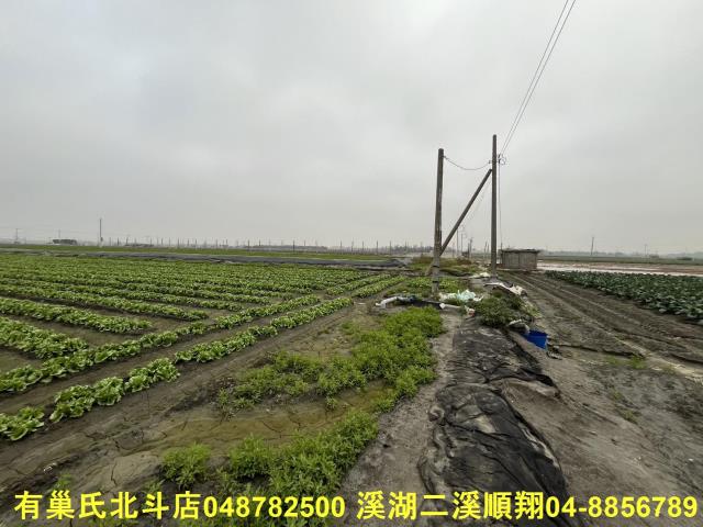 二林農地-6