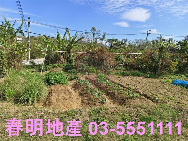 寶山農地-13