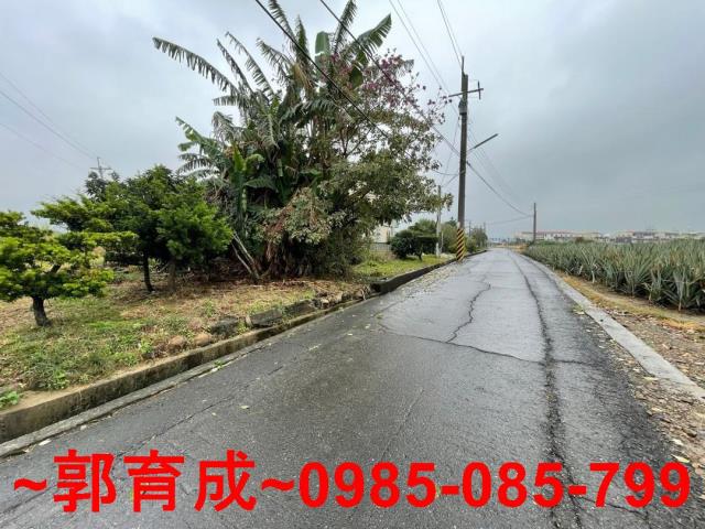 嘉義農地-7