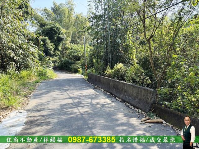 台南左鎮農地-5