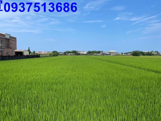 宜蘭壯圍農地-8