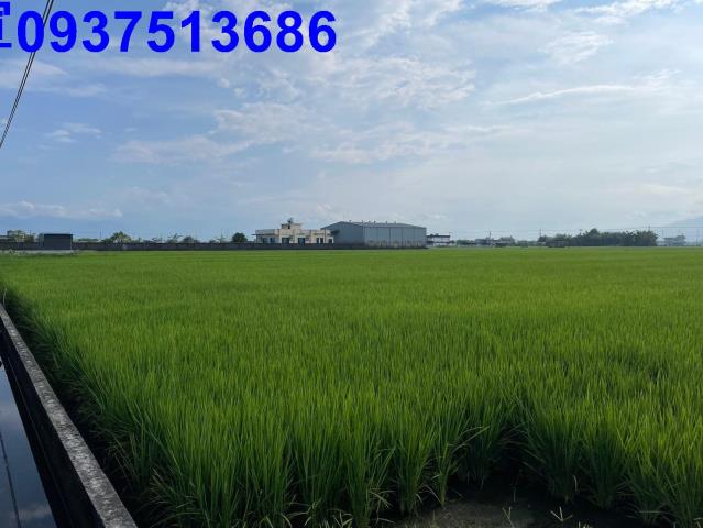 宜蘭壯圍農地-13