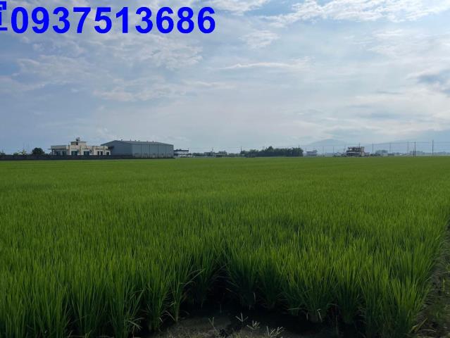 宜蘭壯圍農地-14