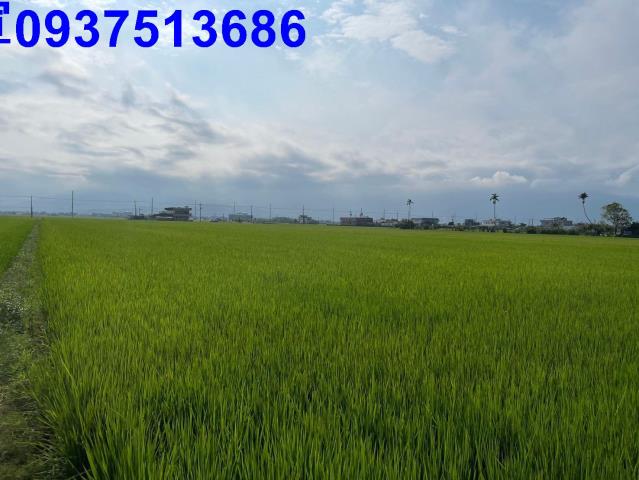 宜蘭壯圍農地-7