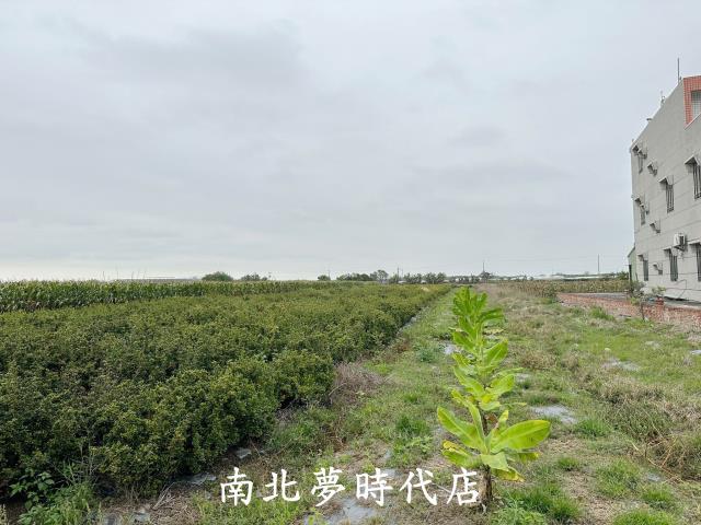 太保農地-2