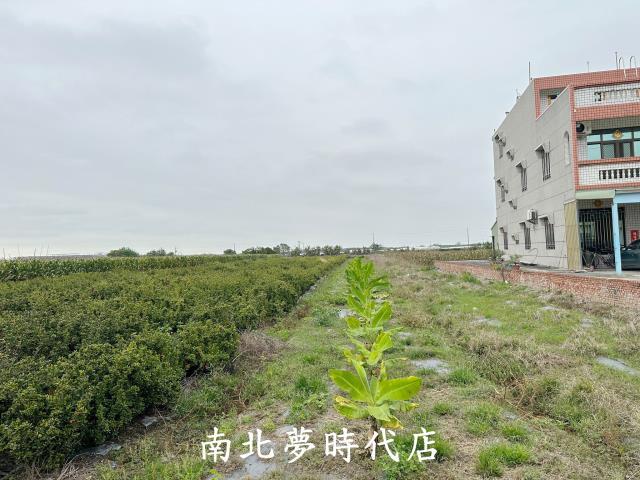 嘉義建地-8