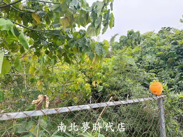 嘉義農地-2