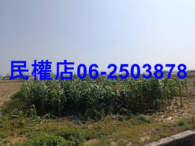 台南學甲農地-8