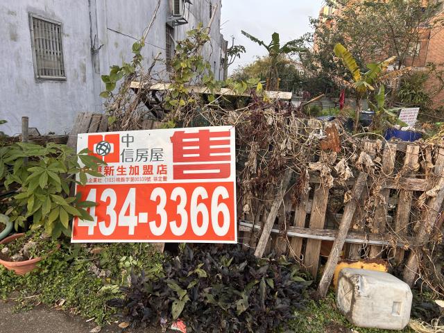 中壢農地-12