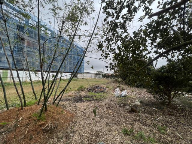 楊梅建地-1
