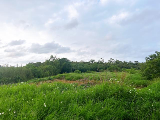 楊梅農地-2