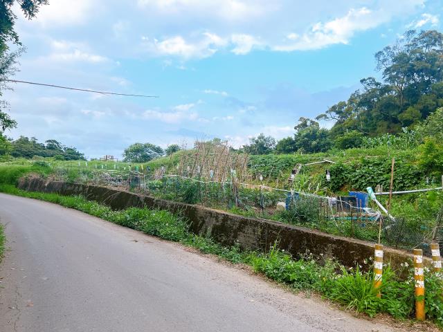 楊梅農地-3