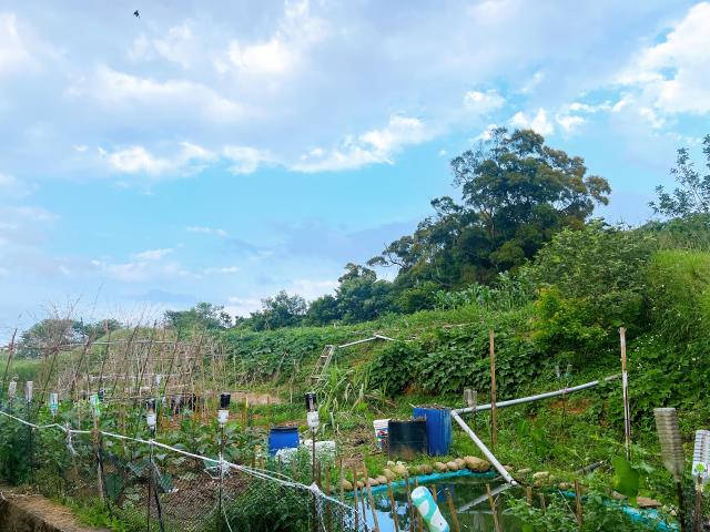 楊梅農地-4