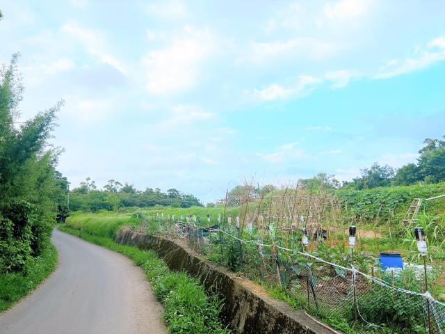 楊梅農地-5