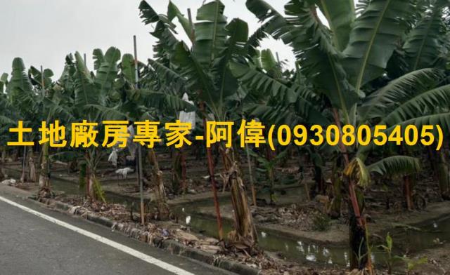 高雄農地-1
