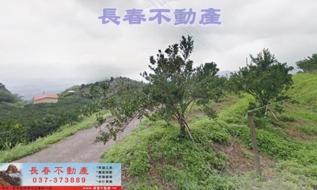苗栗大湖農地-1