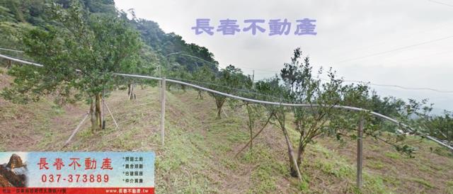 苗栗大湖農地-3