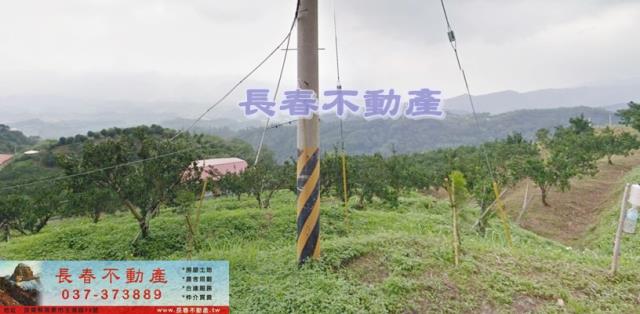 苗栗大湖農地-4