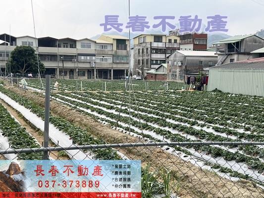 大湖建地-3