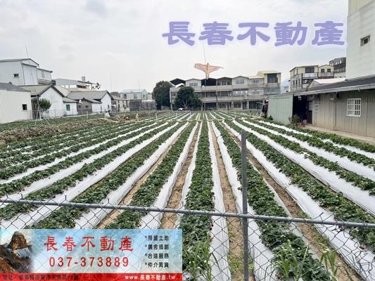大湖建地-4