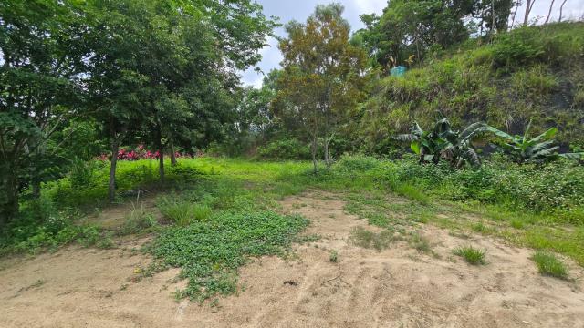 北埔農地-10