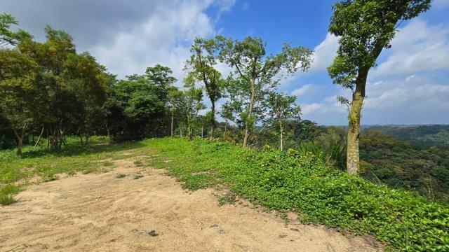 北埔農地-1