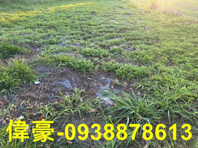 路竹工業地-1