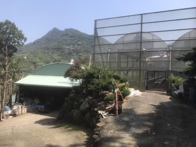 太平農地-1
