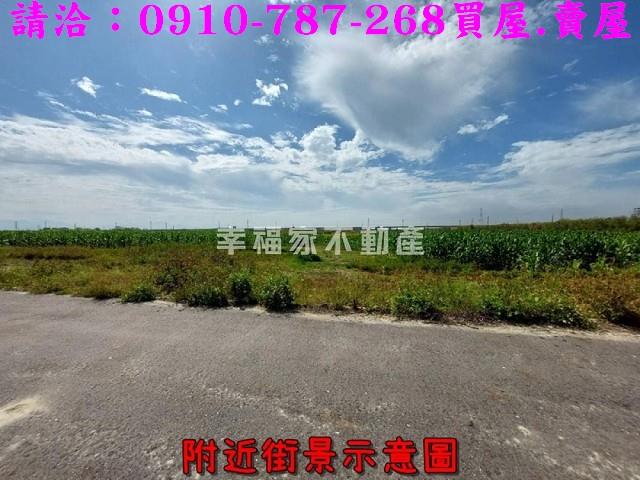 新市農地-5