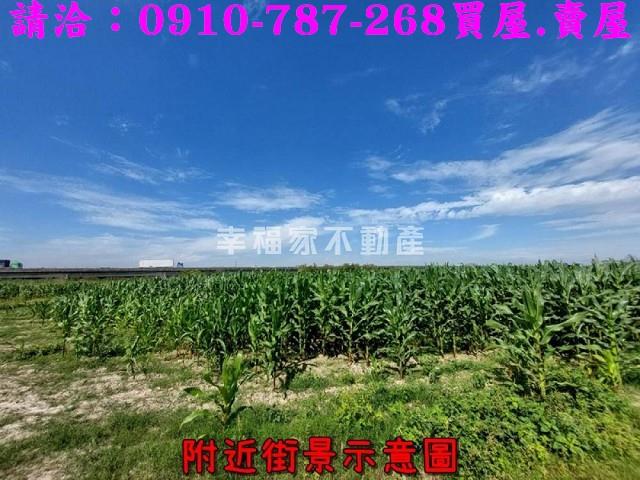 新市農地-6
