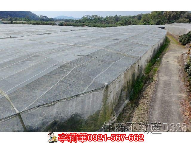 玉井農地-8